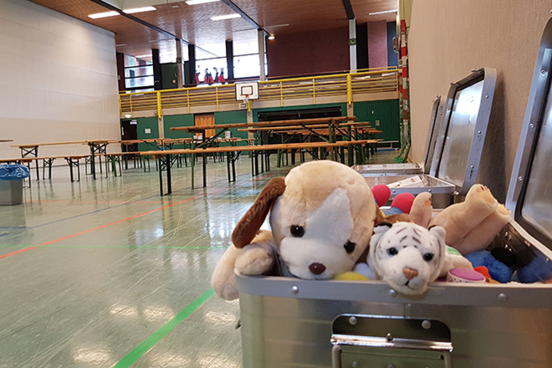 Blick in eine Notunterkunft in einer Sporthalle. Vorn steht eine Metallkiste mit Stofftieren.